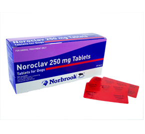 Noroclav 250 MG / 5 tb