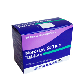 Noroclav 500 MG / 5 tb