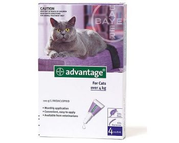 Advantage > 4 Kg / Pipeta