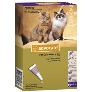 Advocate Cat 4 – 8 kg / pipeta