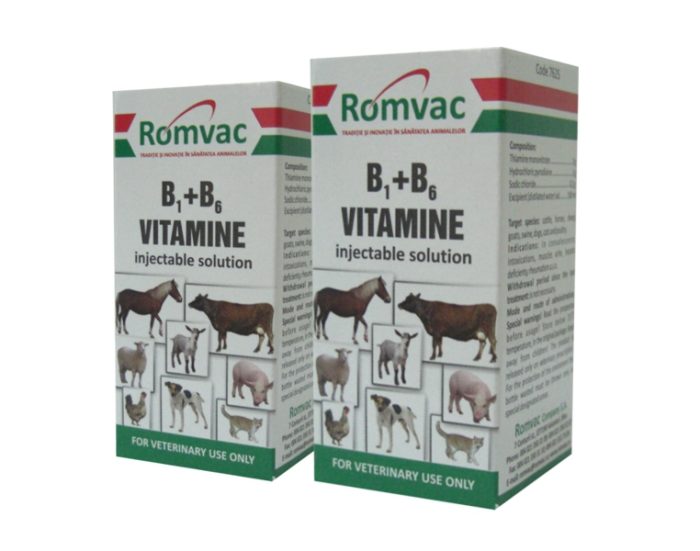 B1 + B6 Injectabil 20 ml