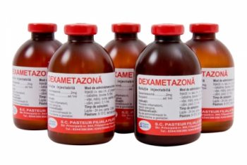 Dexametazona 50 ml