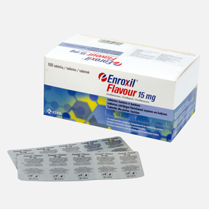Enroxil Flavour 15mg 10 tb