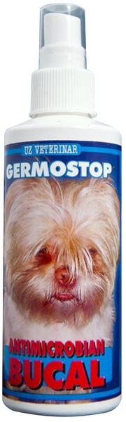 Germostop Bucal