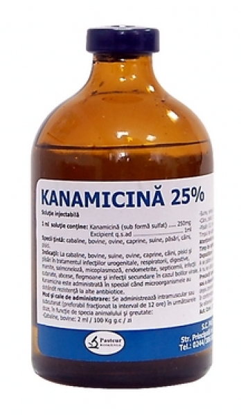 Kanamicina 25% 100ml