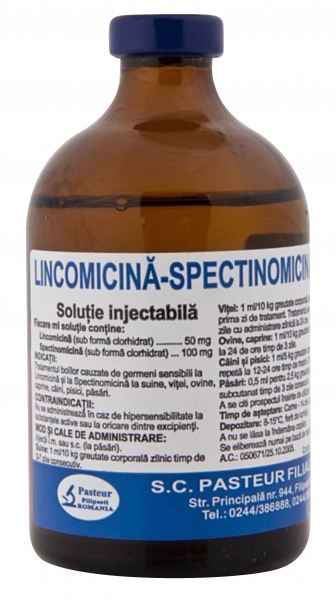 Lincomicina-Spectinomicina 100ml