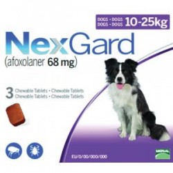 NEXGARD 10 - 25 KG / BUC