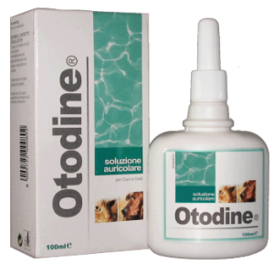 Otodine 100ml