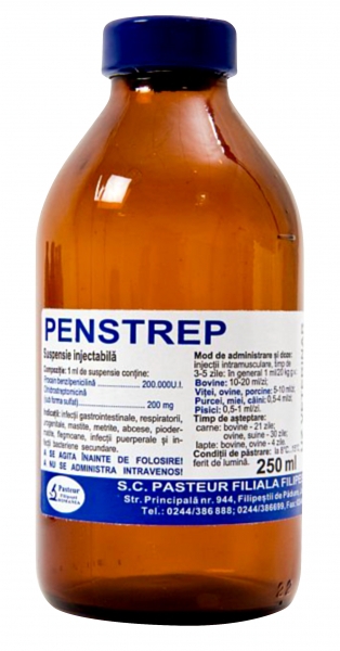 Penstrep 50 ml