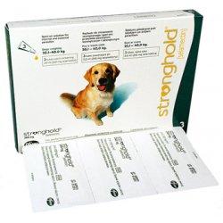 Stronghold Caine 20.1 - 40 Kg / pipeta