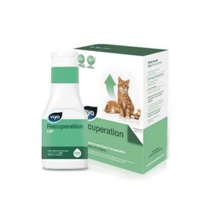 Viyo Recuperation Cat / 3 flacoane