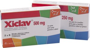 Xiclav 500 mg / cp